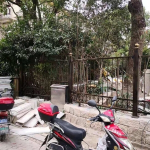 浦東鍛打鐵藝大門鐵藝護(hù)欄