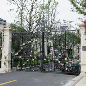 歐式花園別墅豪宅豪華鐵藝大門款式HC-UG1